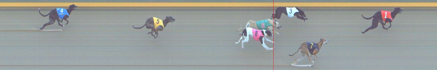 Photo finish for Shepparton Race 13