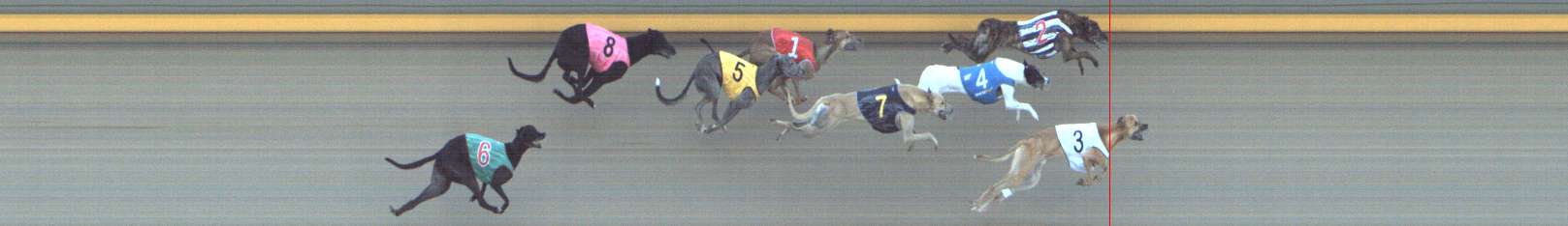 Photo finish for Shepparton Race 14