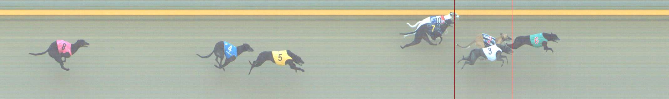 Photo finish for Shepparton Race 1