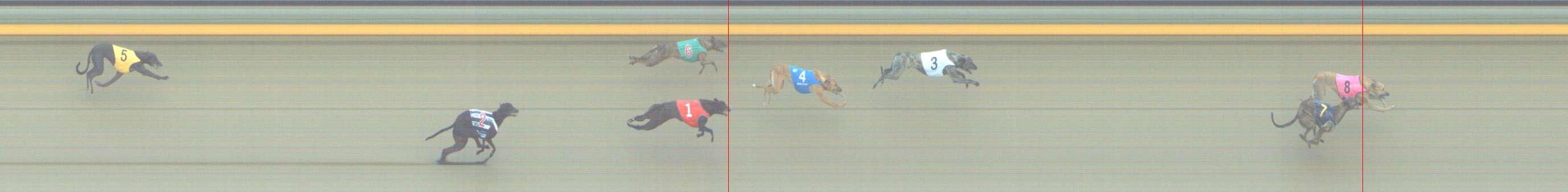 Photo finish for Shepparton Race 2