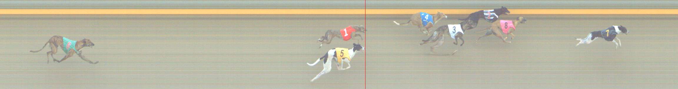 Photo finish for Shepparton Race 3