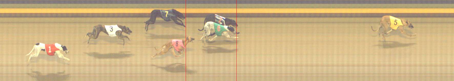 Photo finish for Shepparton Race 4