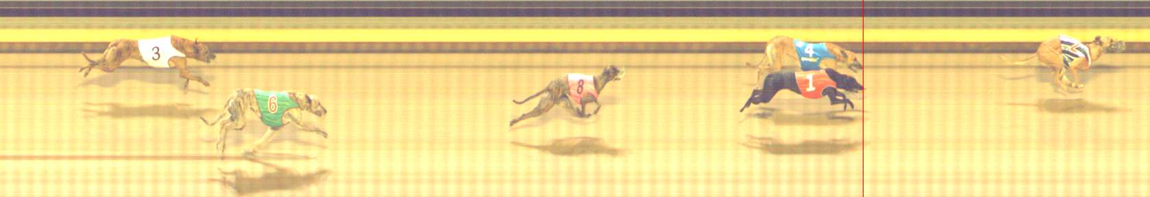 Photo finish for Shepparton Race 5