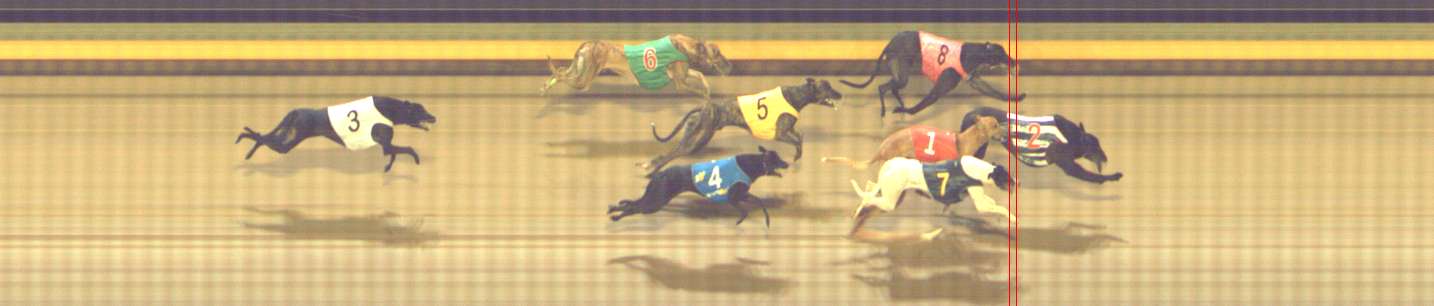 Photo finish for Shepparton Race 6