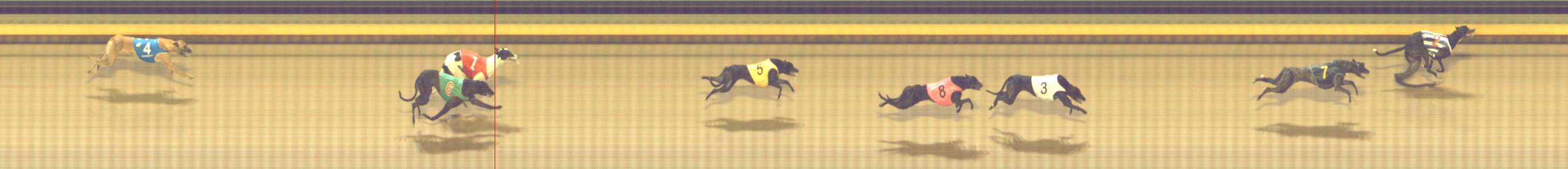 Photo finish for Shepparton Race 7