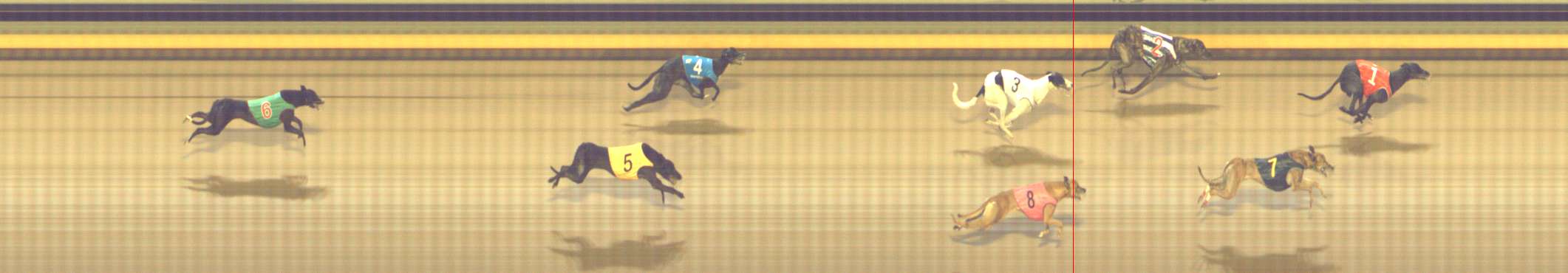 Photo finish for Shepparton Race 8