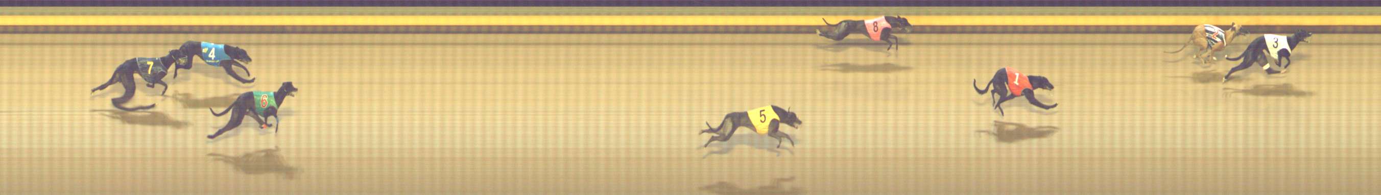 Photo finish for Shepparton Race 9