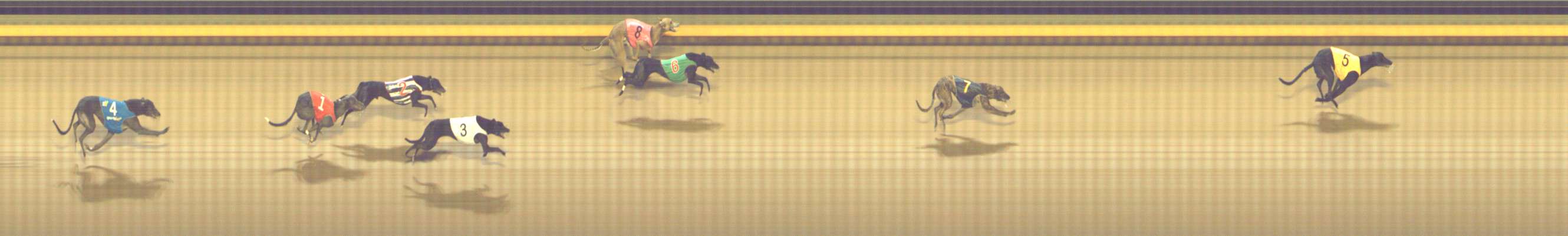 Photo finish for Shepparton Race 10