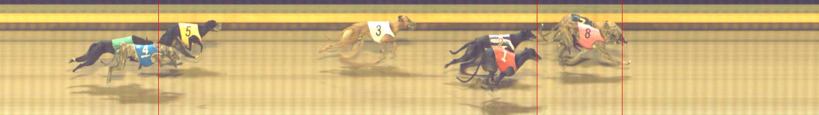 Photo finish for Shepparton Race 11