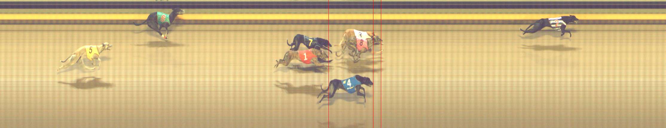 Photo finish for Shepparton Race 12