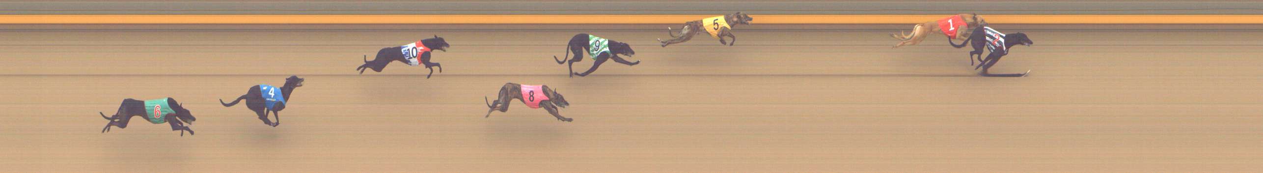 Photo finish for Shepparton Race 1