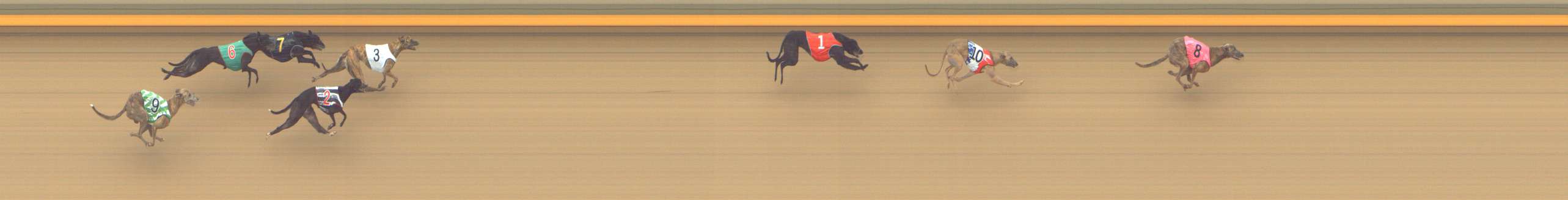 Photo finish for Shepparton Race 2