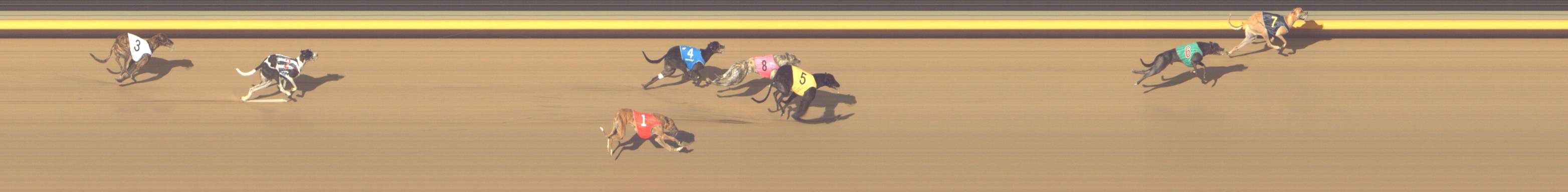 Photo finish for Shepparton Race 3