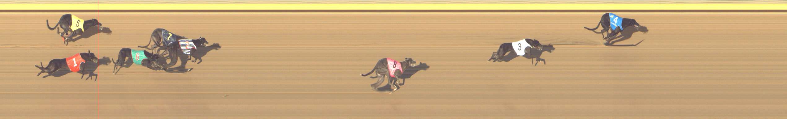 Photo finish for Shepparton Race 5