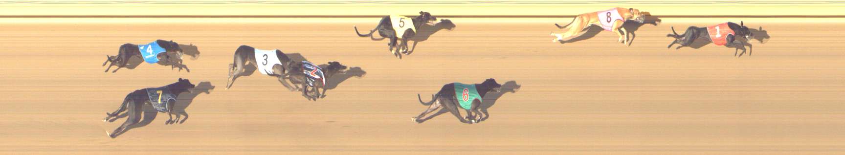 Photo finish for Shepparton Race 6