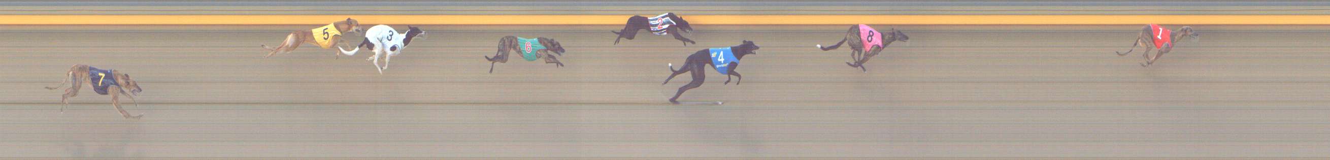 Photo finish for Shepparton Race 7