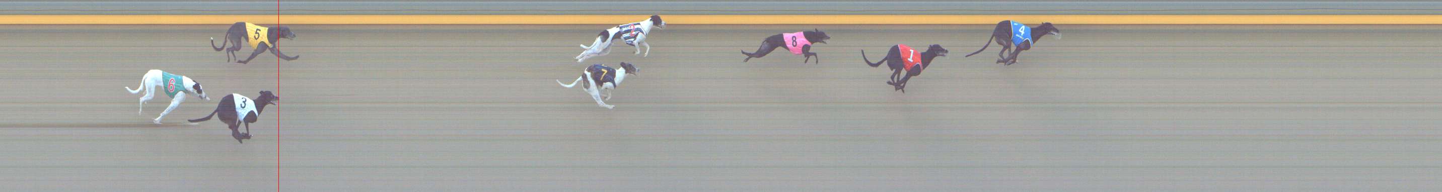 Photo finish for Shepparton Race 8