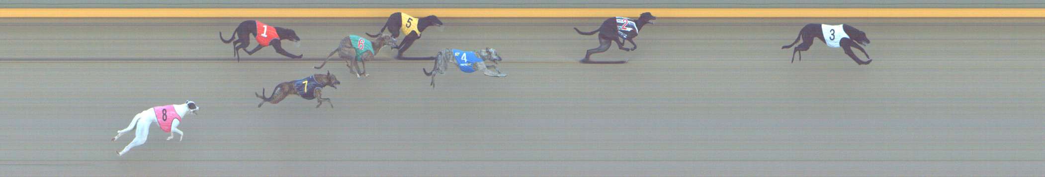 Photo finish for Shepparton Race 10