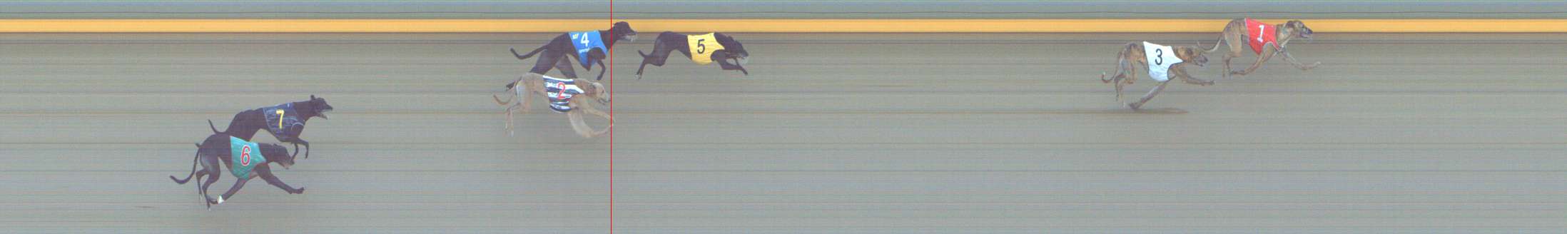 Photo finish for Shepparton Race 11