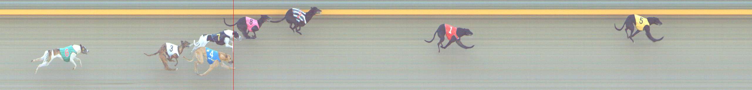 Photo finish for Shepparton Race 12