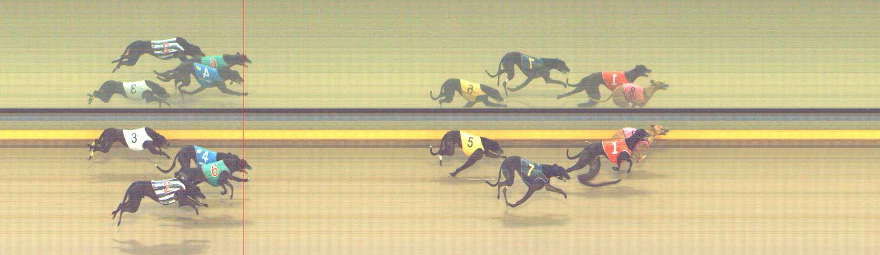 Photo finish for Shepparton Race 13