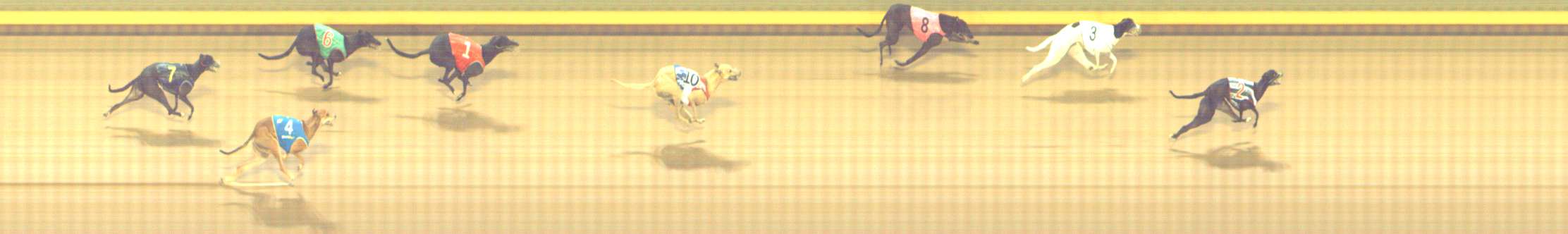 Photo finish for Shepparton Race 14