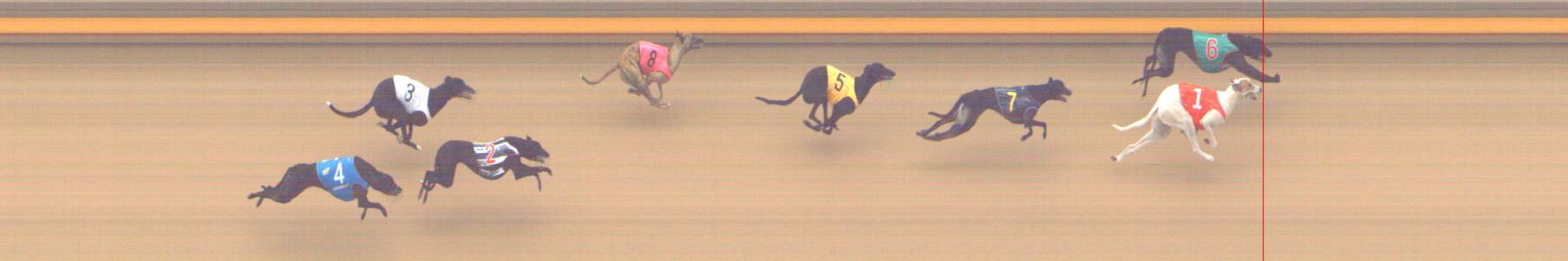 Photo finish for Shepparton Race 1