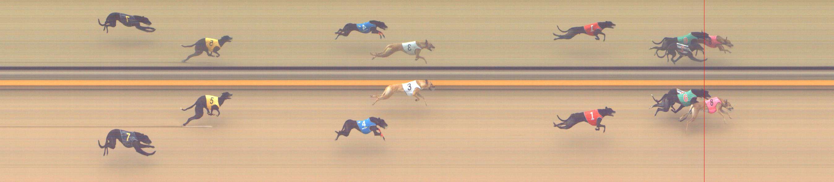 Photo finish for Shepparton Race 2