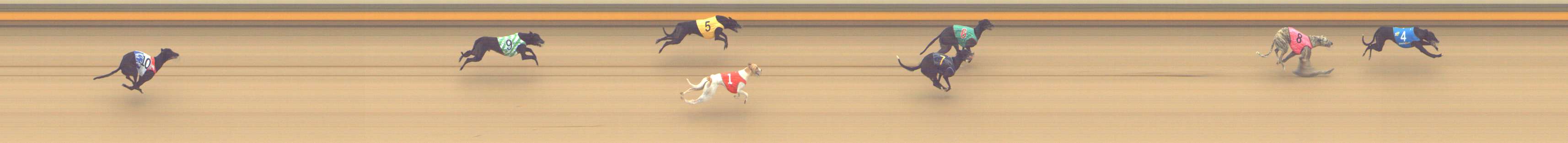 Photo finish for Shepparton Race 3