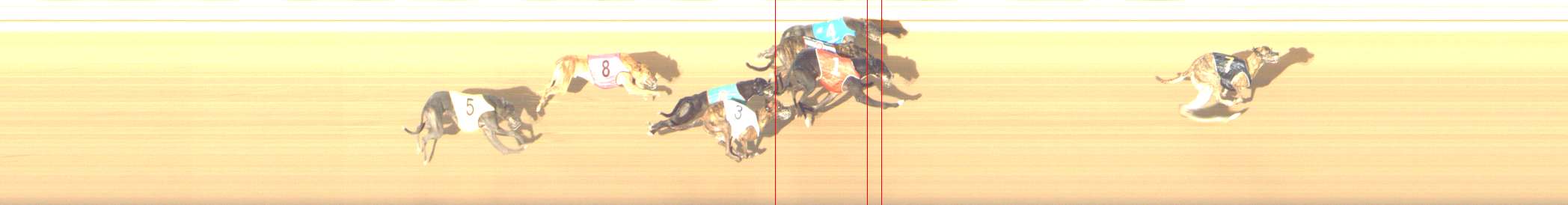 Photo finish for Shepparton Race 4