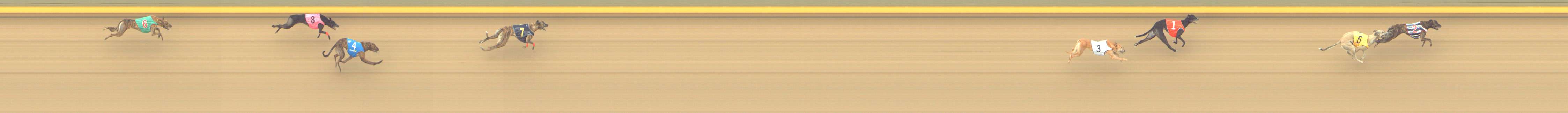 Photo finish for Shepparton Race 5