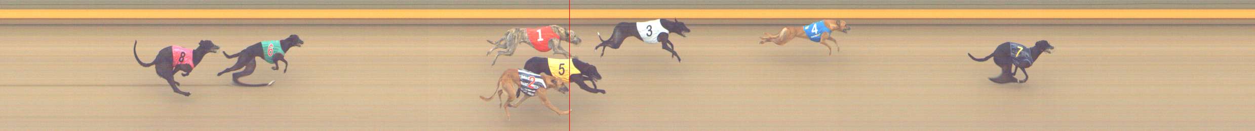 Photo finish for Shepparton Race 7