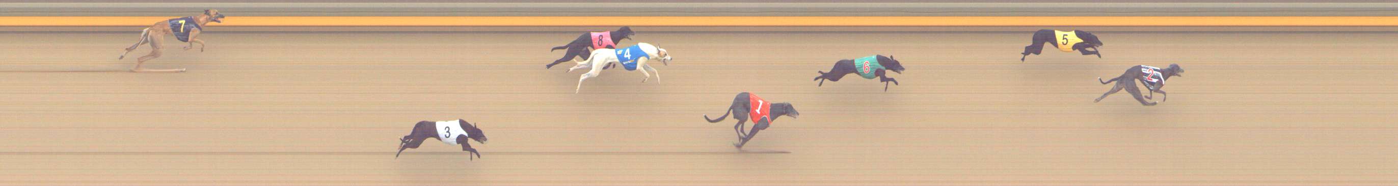 Photo finish for Shepparton Race 8