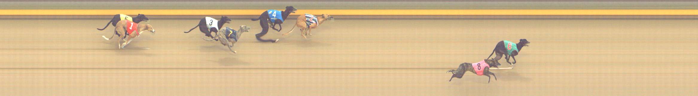 Photo finish for Shepparton Race 9