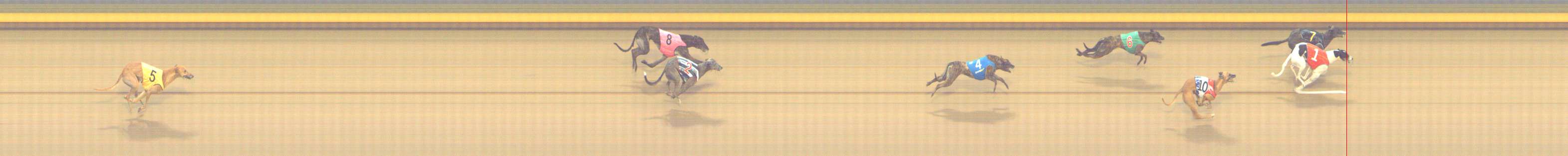 Photo finish for Shepparton Race 10
