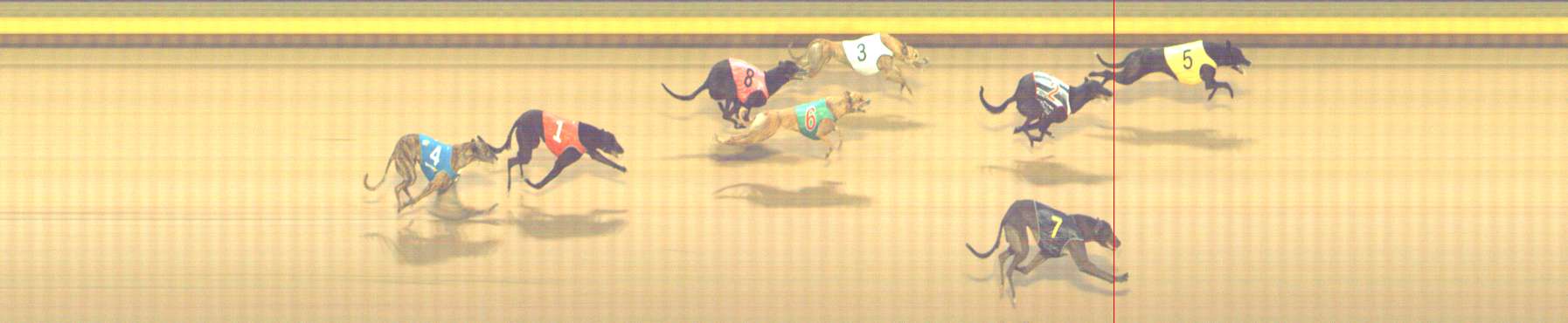 Photo finish for Shepparton Race 11