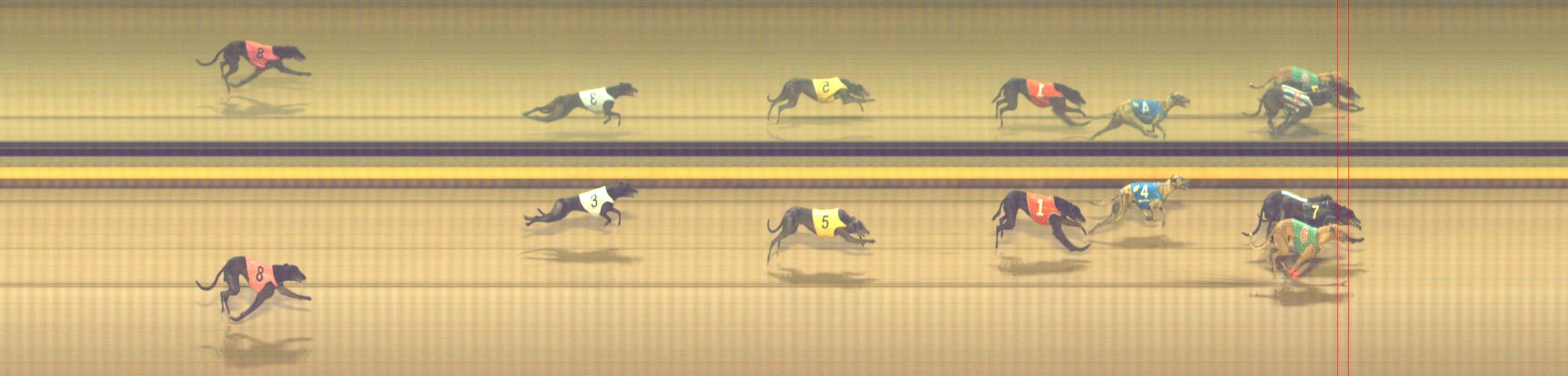 Photo finish for Shepparton Race 12