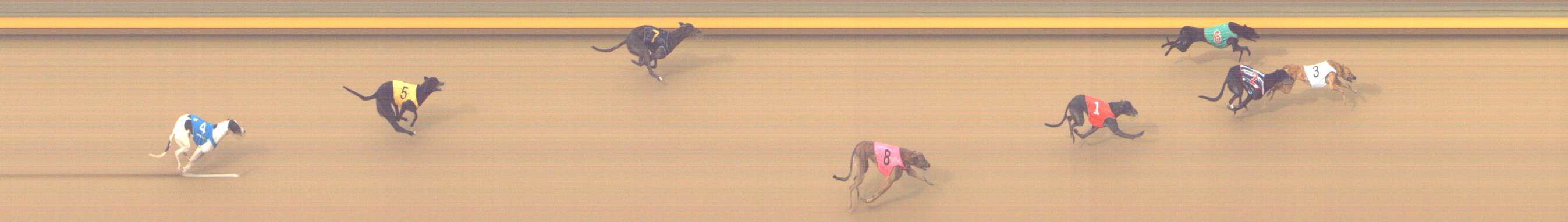 Photo finish for Shepparton Race 1