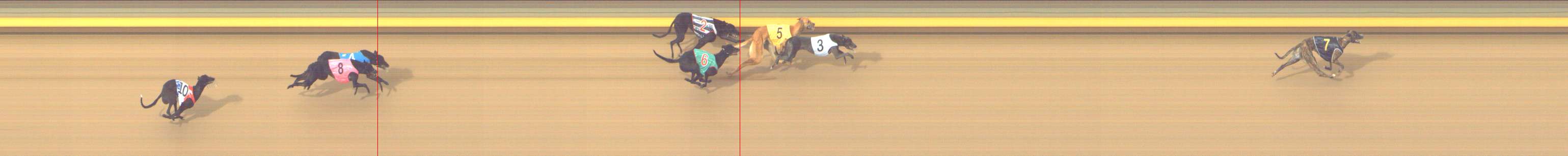 Photo finish for Shepparton Race 2