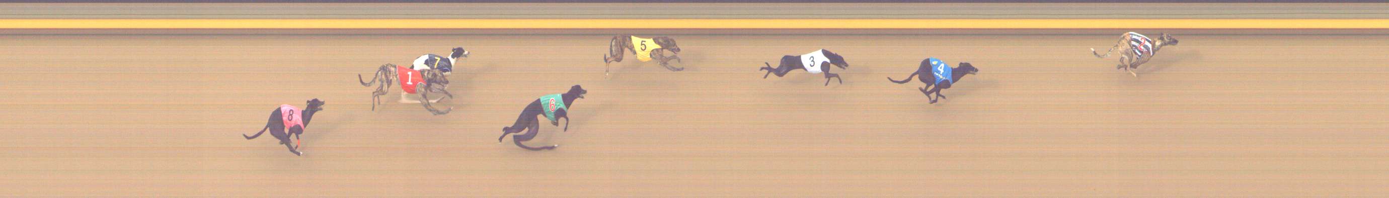 Photo finish for Shepparton Race 3