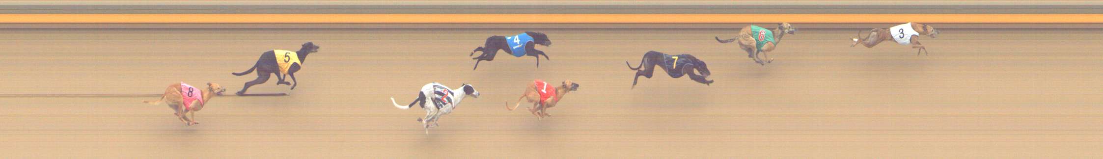 Photo finish for Shepparton Race 4