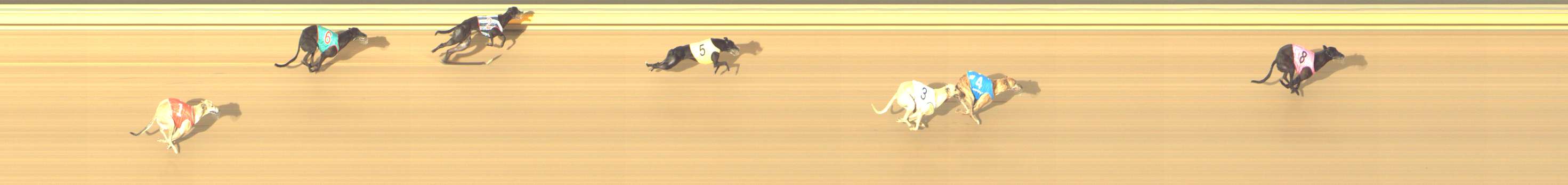 Photo finish for Shepparton Race 5