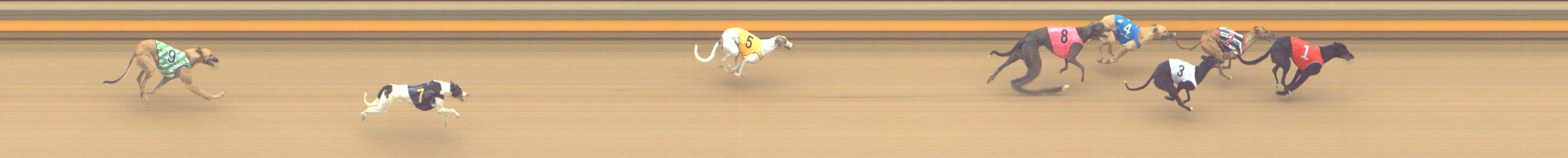 Photo finish for Shepparton Race 7