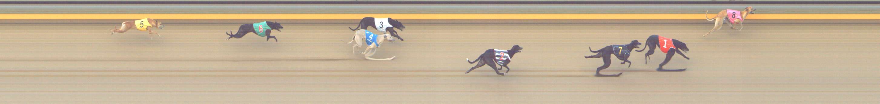 Photo finish for Shepparton Race 8