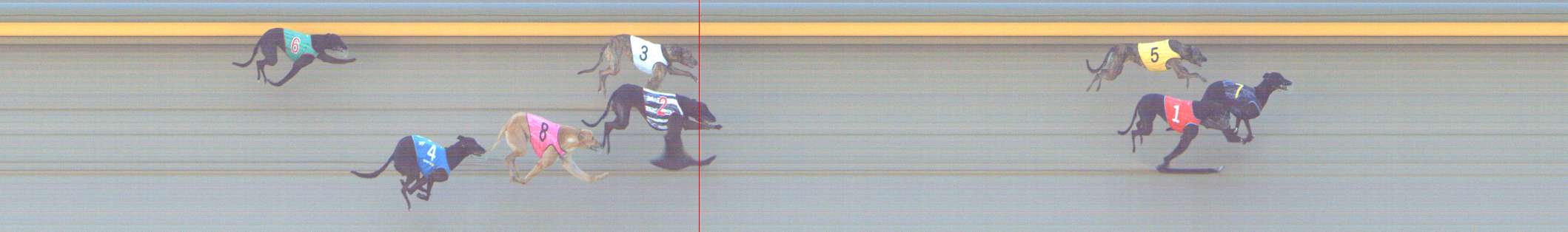 Photo finish for Shepparton Race 9