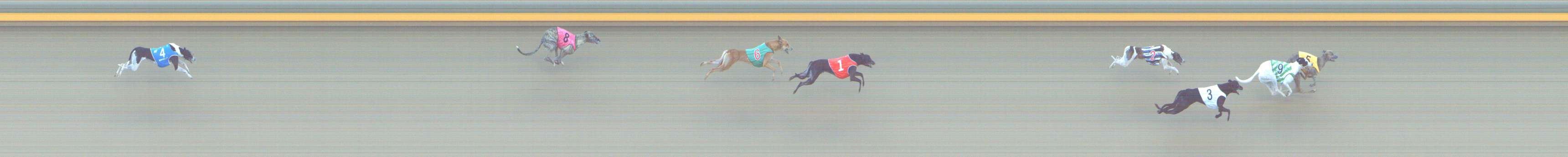 Photo finish for Shepparton Race 10