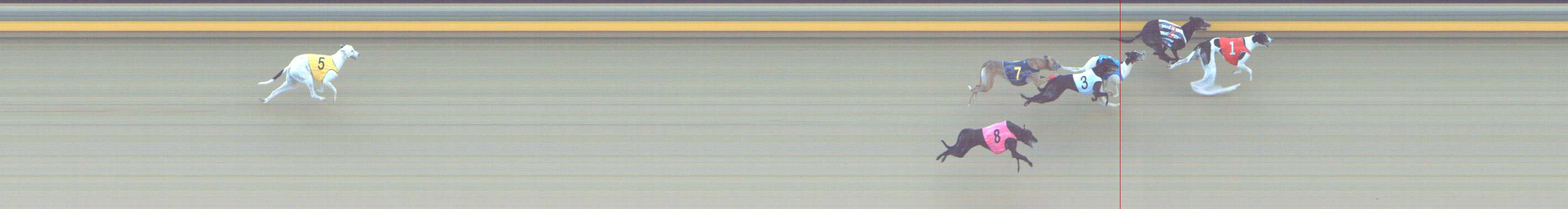 Photo finish for Shepparton Race 11