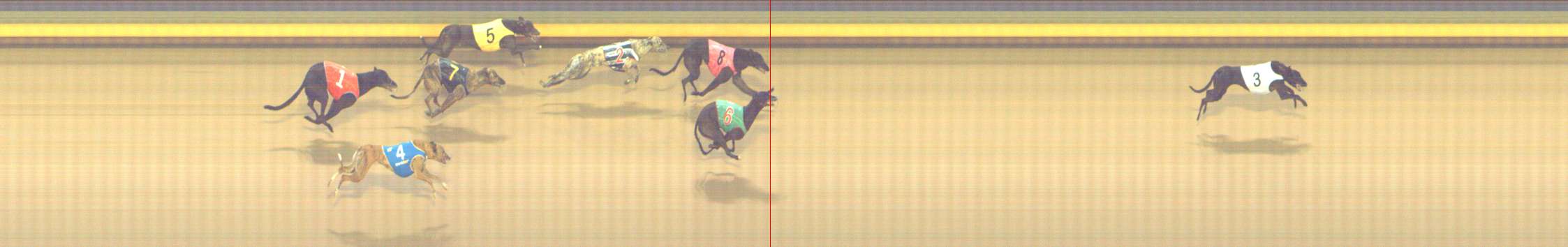 Photo finish for Shepparton Race 13