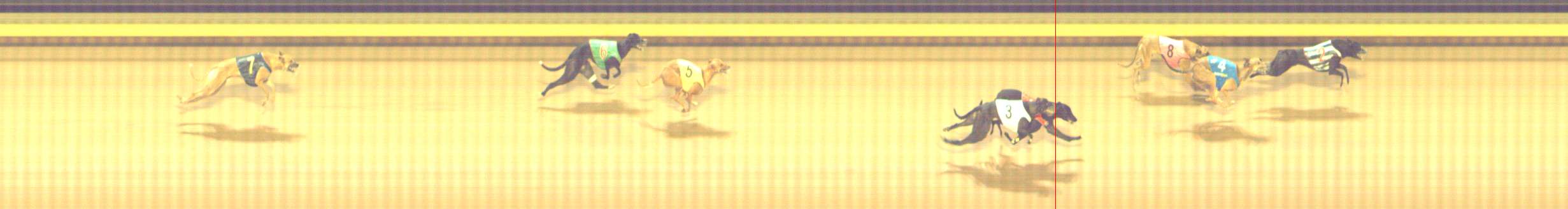 Photo finish for Shepparton Race 14