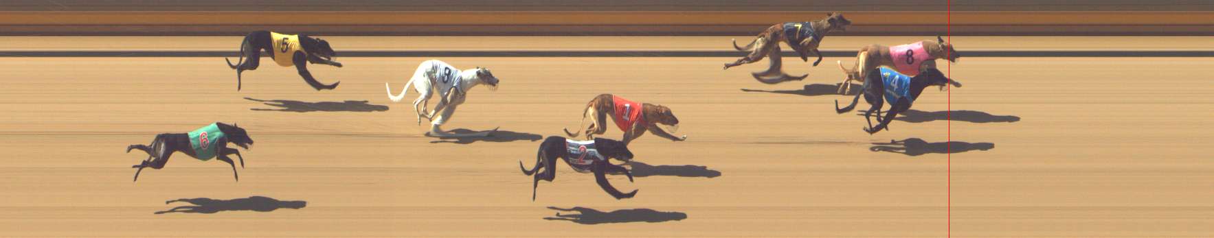 Photo finish for Shepparton Race 1